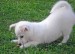 20090428312247_DSC04614.JPG