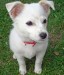 20090428312248_marley28.JPG