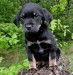 20090506320056_Mark005.JPG