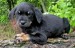 20090506320104_Mark048.JPG