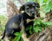 20090506320105_Mark056.JPG
