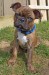20090504318095_Bowser2009.jpg