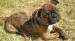 20090504318097_DSCN0020.jpg