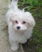 20090501164613_142.JPG