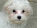 20090501164617_146.JPG