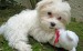 20090501164624_148.JPG
