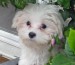 20090501164626_150.JPG