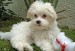 20090501164628_152.JPG