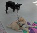 20090426310773_PICT0016.JPG