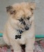 20090426310783_PICT0017.JPG