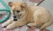 20090426310784_PICT0018.JPG_w450.jpg