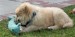 20090426310789_PICT0003.JPG