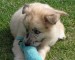 20090426310790_PICT0008.JPG