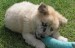 20090426310800_PICT0001.JPG