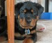 20090417303466_Pic083.jpg