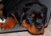 20090417303473_094Week.jpg