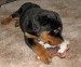 20090417303478_Pic038.jpg