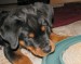 20090417303479_Pic025.jpg