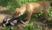 20090527318318_DSCN2780.JPG