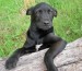 20090415290827_DSCN1569.JPG