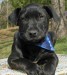 20090415301569_037.JPG