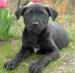 20090415301570_019.JPG