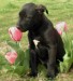 20090415301583_017.JPG