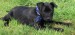 20090415301585_061.JPG