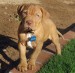 20090422307878_exploring.jpg_w450.jpg