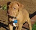 20090422307879_playingpaper.jpg