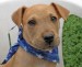 20090527318320_DSCN2735.JPG