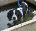 20090412298082_Bridgetown133.jpg