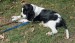 20090412298083_Bridgetown093.jpg