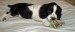 20090412298097_Bridgetown013.jpg