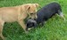20090527318343_DSCN2884.JPG