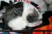 20090416302483_tn_IMG_2721.JPG