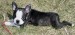 20090416302486_tn_IMG_2731.JPG