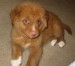 20090504318552_8wksvito80002.jpg
