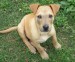 20090527318345_DSCN1764.JPG