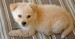 20090416302744_B1.jpg