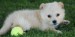 20090416302746_B3.jpg
