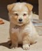 20090416302747_B4.jpg_w450.jpg