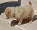 20090416302748_B5.jpg