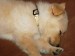 20090416302757_B7.jpg
