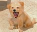 20090416302749_B6.jpg