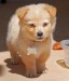 20090416302758_B8.jpg