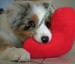 20090417302306_searchingfortheperfectplace.jpg