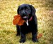 20090526329531_3420319962_fcdd4110b9_o.jpg_w450.jpg