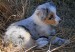 20090417302321_youcaughtmyeye.jpg