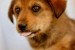 20090413299500_339823h_20.jpeg